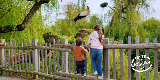 Parc animalier en Alsace : visiter le NaturOparc avec les enfants